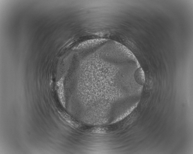 X0000078860656200612041933