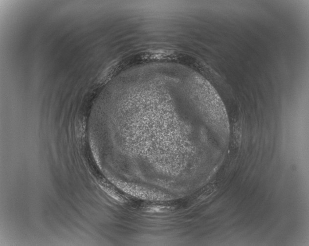 X0000078860657200612041933