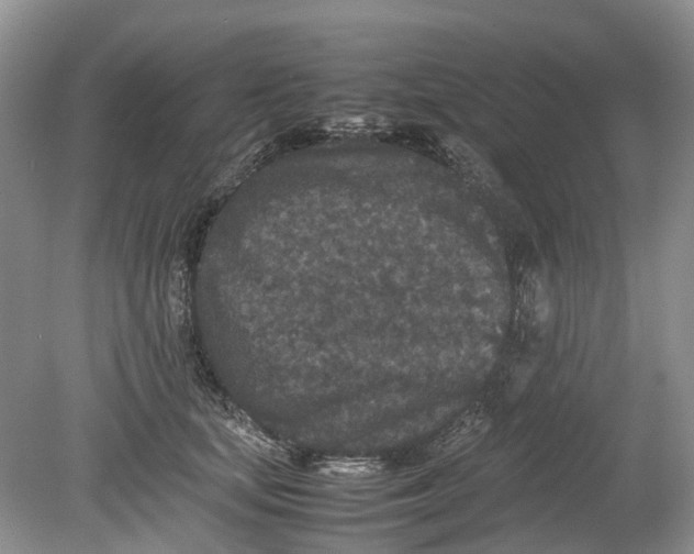 X0000078860659200612041933