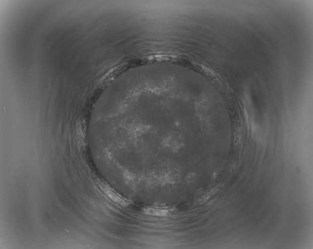 X0000078860661200612041933