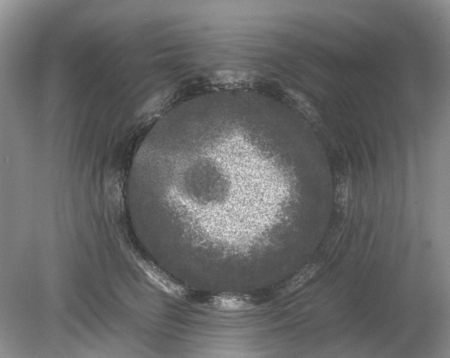 X0000078860662200612041933