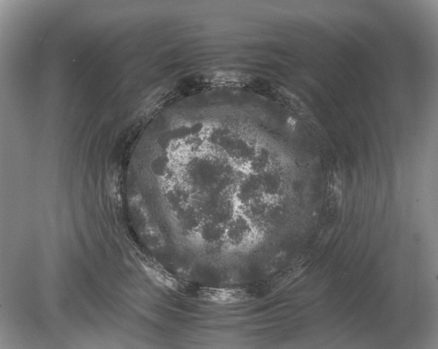 X0000078860663200612041933