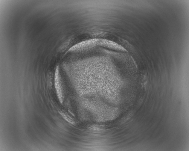 X0000078860664200612041933