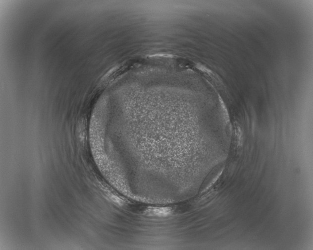 X0000078860665200612041933