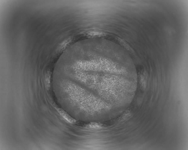 X0000078860668200612041933