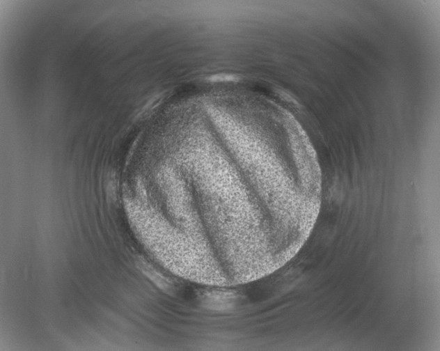 X0000078860669200612041934