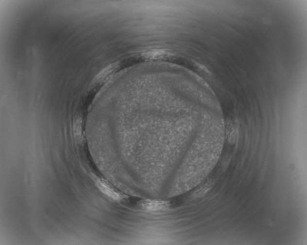 X0000078860670200612041934