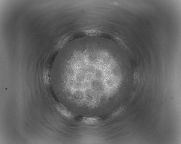 X0000078860671200612041934