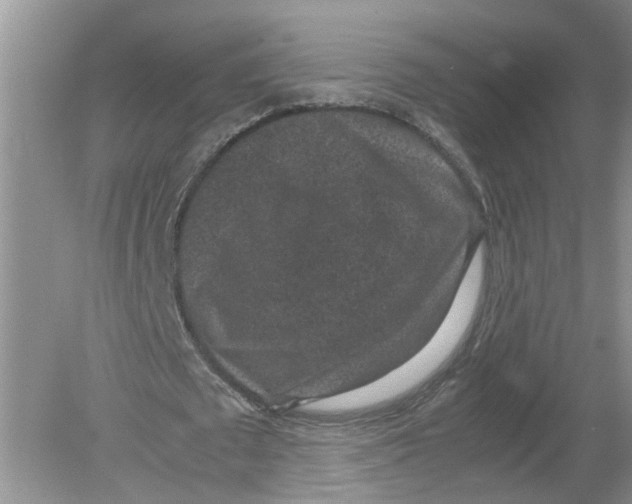 X0000078860673200612041933