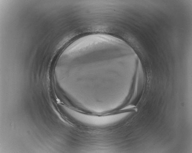 X0000078860674200612041933