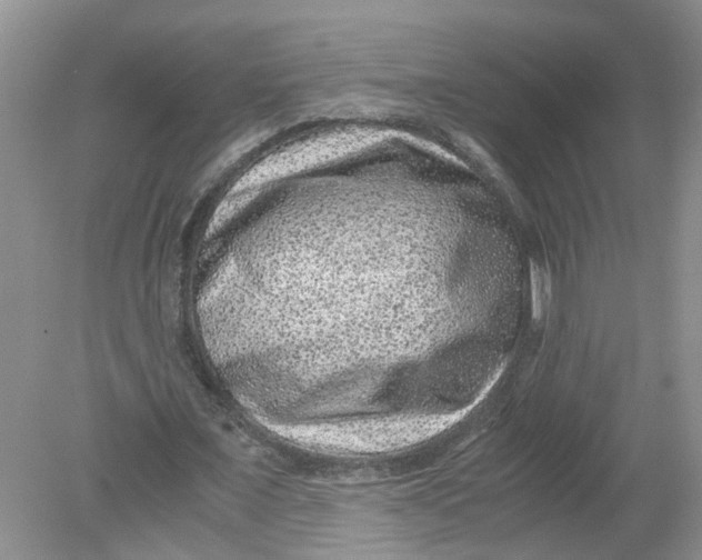 X0000078860675200612041933