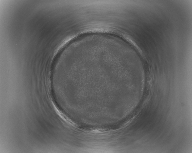 X0000078860677200612041933