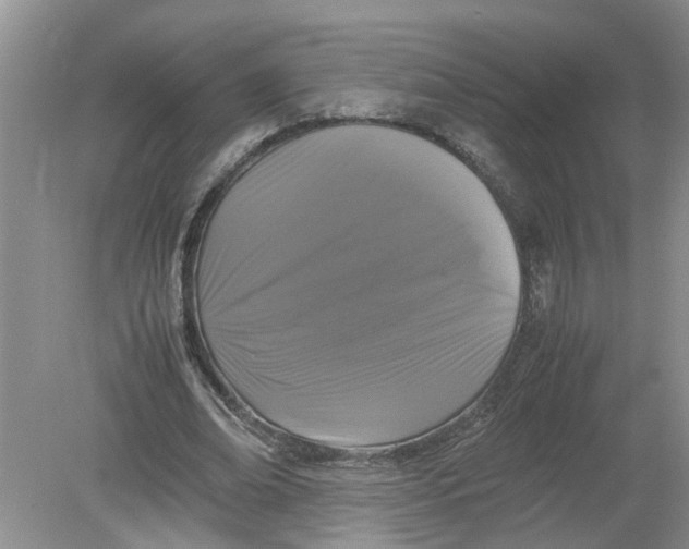 X0000078860678200612041933