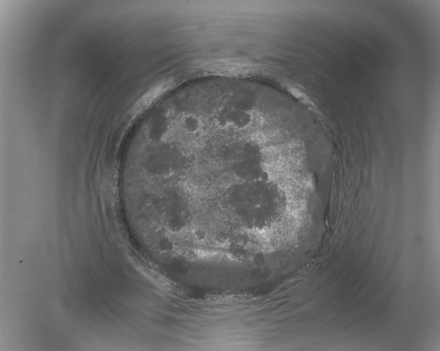 X0000078860679200612041933