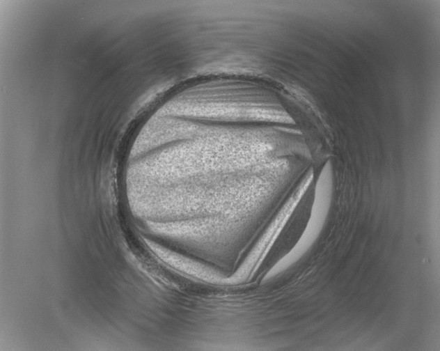 X0000078860680200612041933