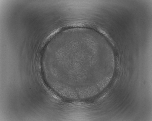 X0000078860681200612041933