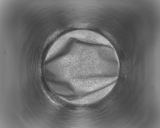 X0000078860682200612041933