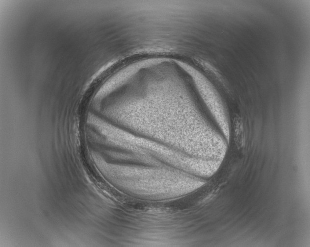 X0000078860684200612041933