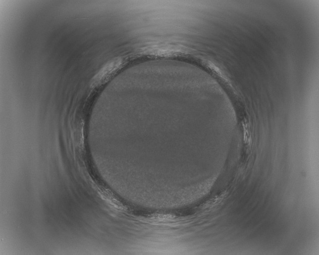 X0000078860685200612041933