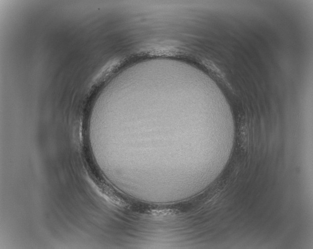 X0000078860686200612041933