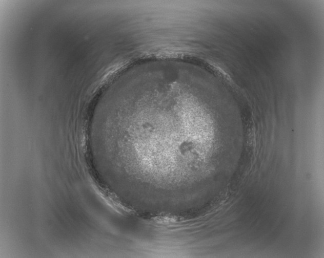 X0000078860687200612041933