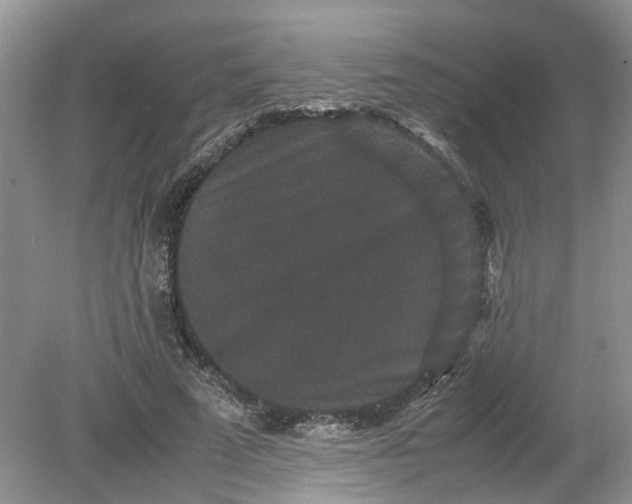 X0000078860689200612041932