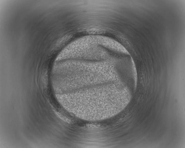 X0000078860690200612041932