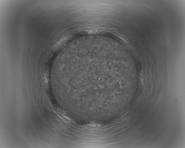 X0000078860691200612041932