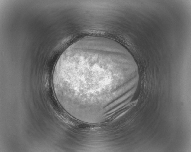 X0000078860692200612041932