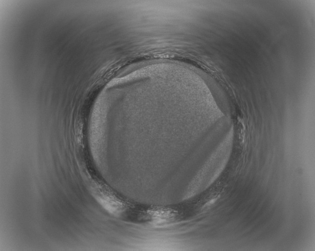 X0000078860693200612041932