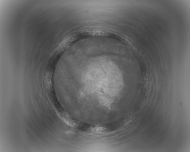 X0000078860695200612041932