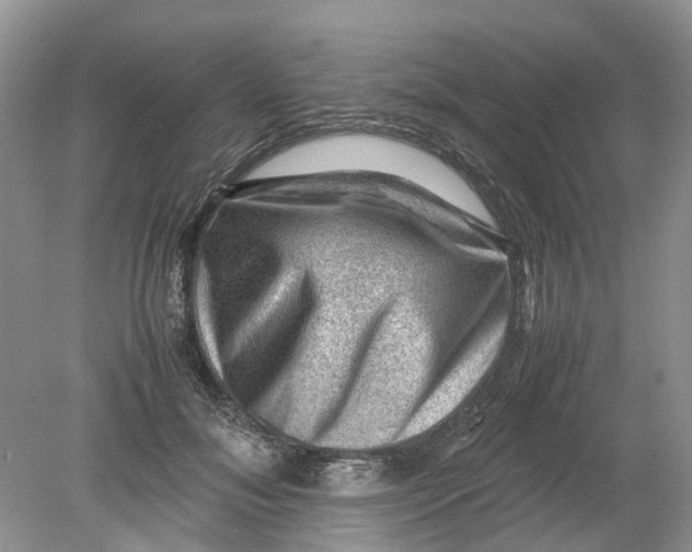 X0000078860700200612041932