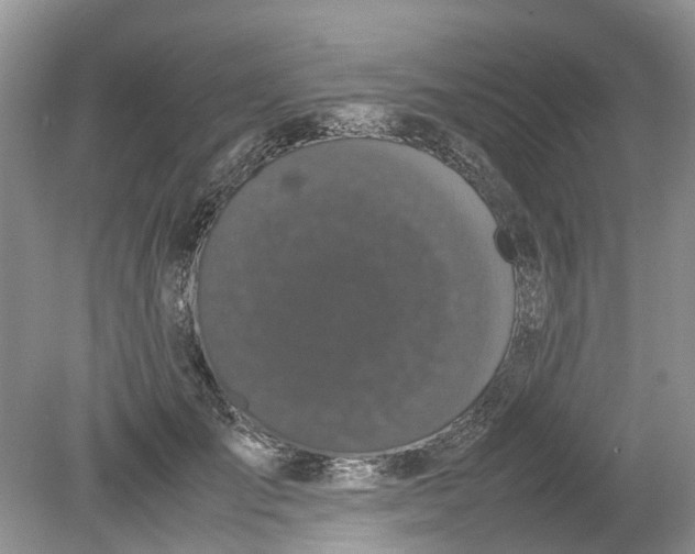 X0000078860701200612041932