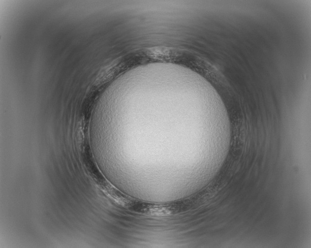 X0000078860702200612041932