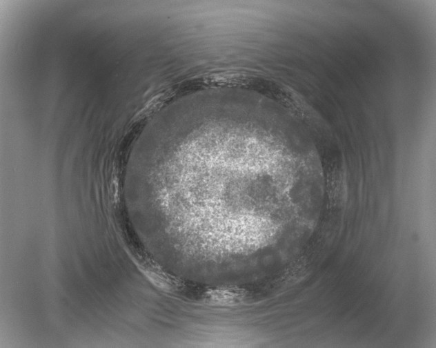 X0000078860703200612041932