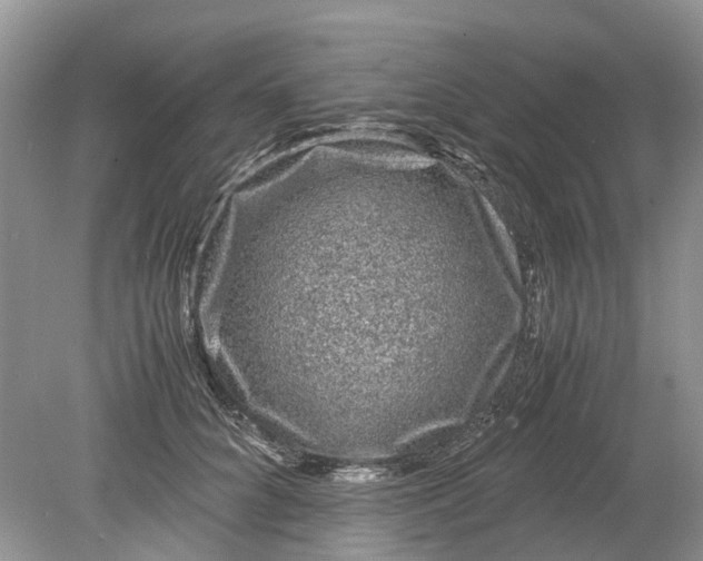 X0000078860704200612041932