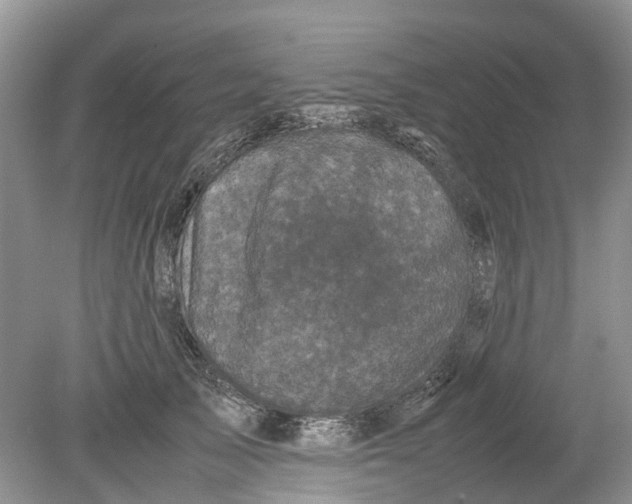 X0000078860705200612041932