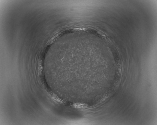 X0000078860707200612041932