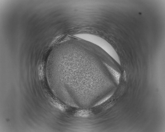 X0000078860708200612041932