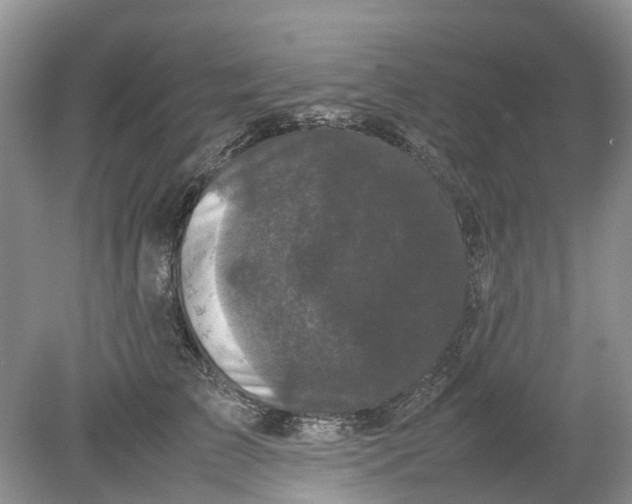 X0000078860709200612041932