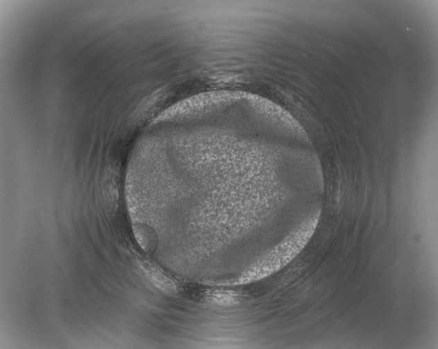 X0000078860710200612041932