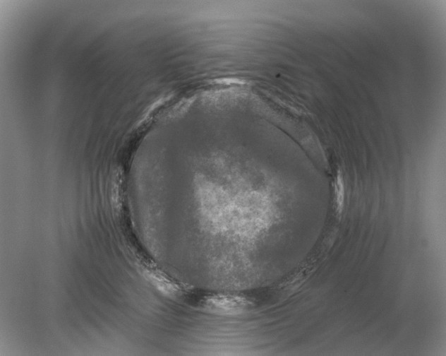 X0000078860712200612041932