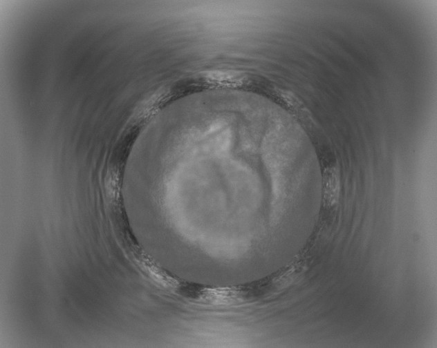 X0000078860713200612041932