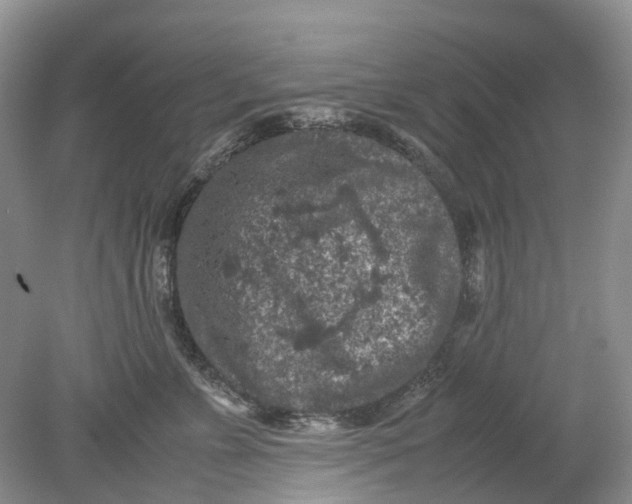 X0000078860715200612041932