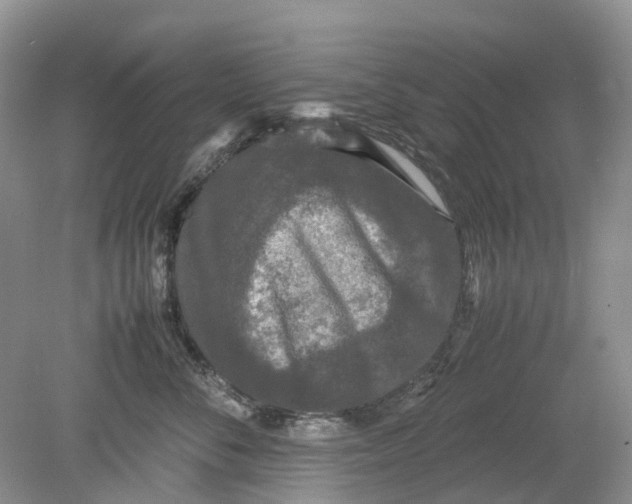 X0000078860716200612041932