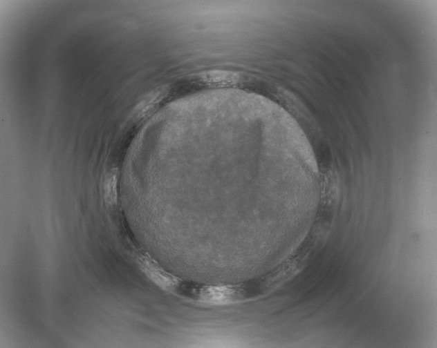 X0000078860717200612041932