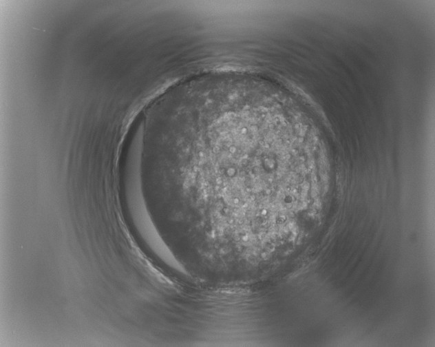 X0000078860721200612041931