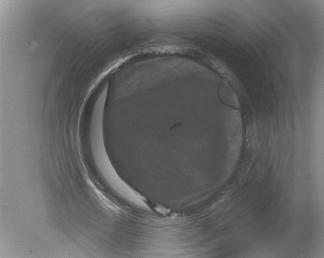 X0000078860722200612041931