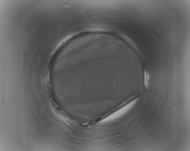 X0000078860723200612041931