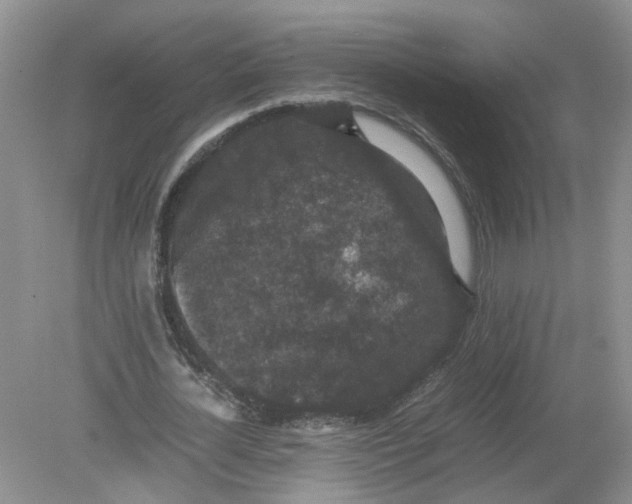 X0000078860724200612041931